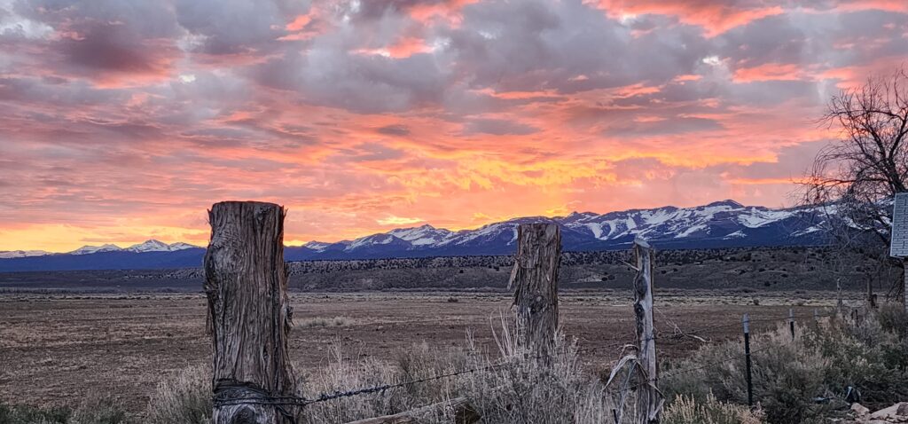 A landscape of the high desert with a fence in the foreground and a mountain in the background